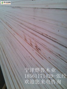 中木商网 一站式木材产品与资讯服务平台