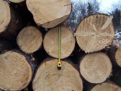 原木价格飙升至25年峰值 市场震荡与未来展望