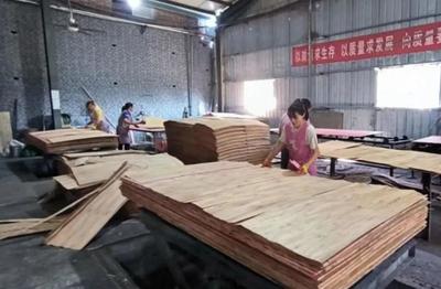 调研赋能产业兴 牡丹区政协主席葛广亮深入考察木材加工与家具产业发展