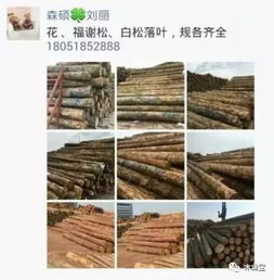 履约思源，不忘初心——2017年4月2日精品木材销售信息发布