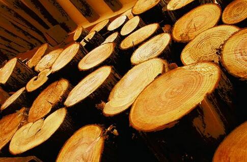 木立方浴室柜 精选木材，悦享尊贵品质生活